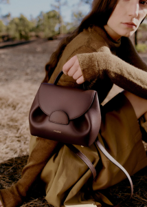 Burgundy Bag