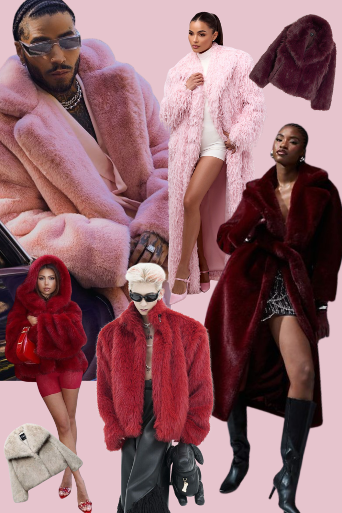 Fur Coat 