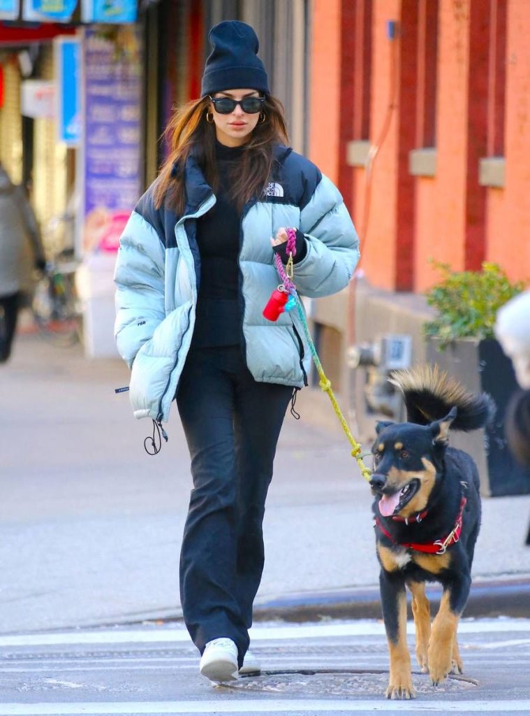 Clothing Quilted Jacket