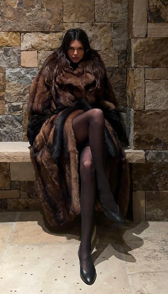 Fur Coat 